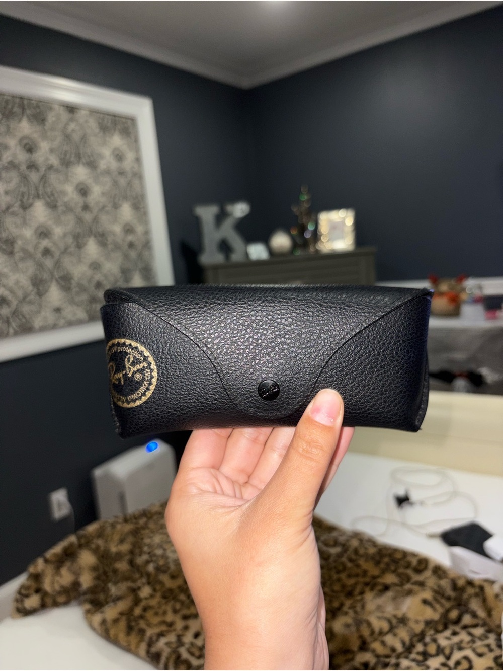 Ray-Ban Black 3044